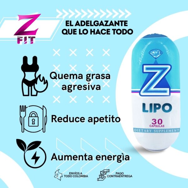 Z-LIPO - Image 3