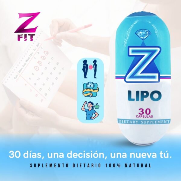Z-LIPO - Image 7