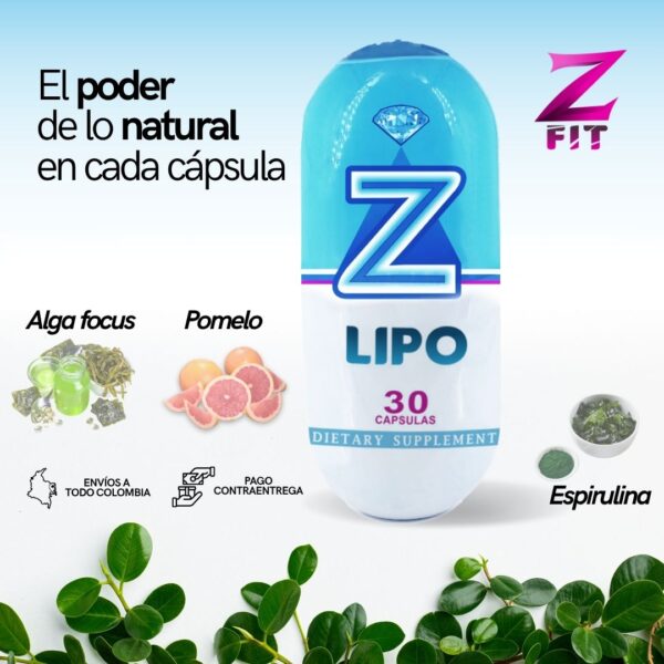 Z-LIPO - Image 9