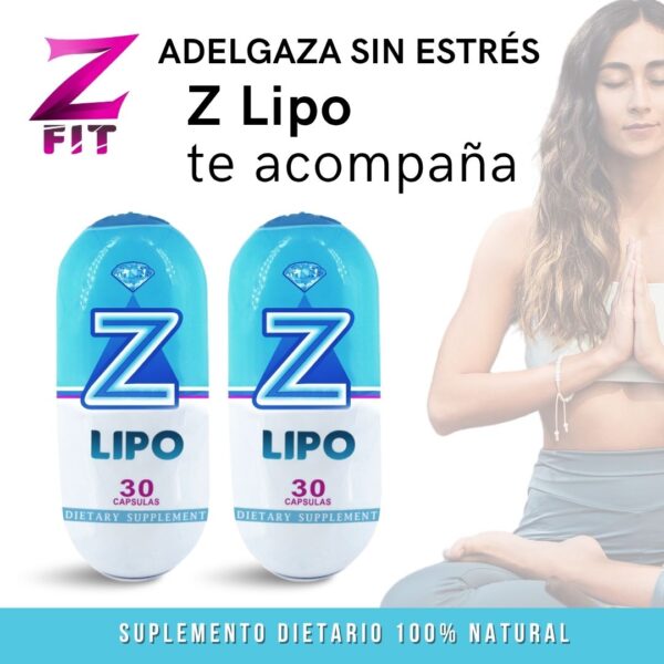 Z-LIPO - Image 10