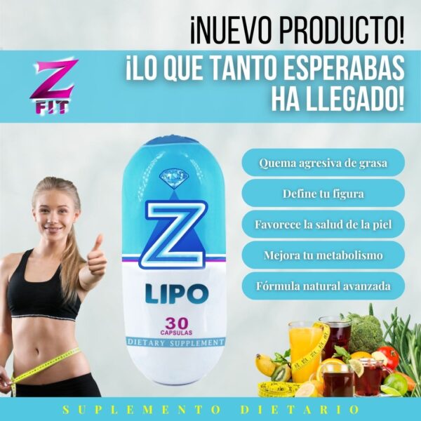 Z-LIPO - Image 12