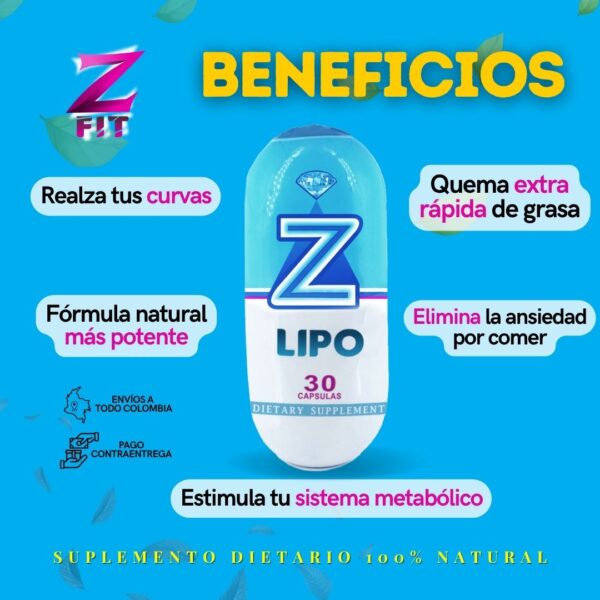 Z-LIPO - Image 11