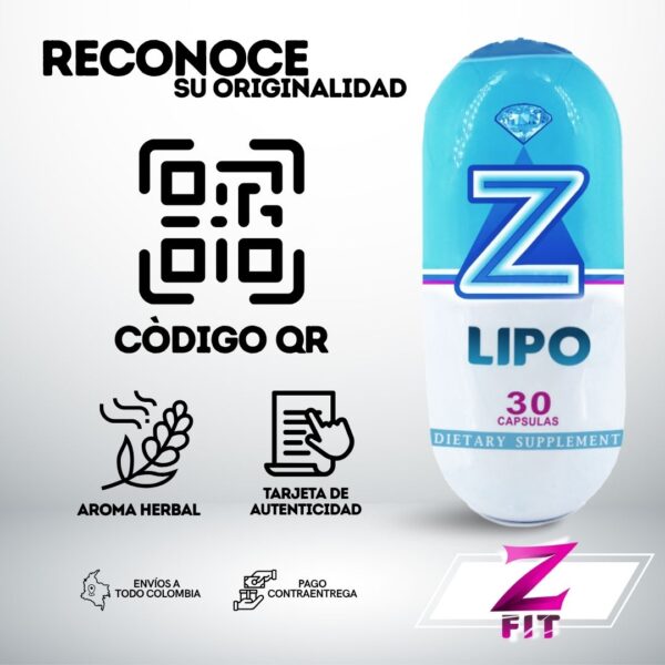 Z-LIPO - Image 13