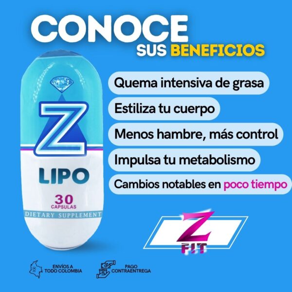 Z-LIPO - Image 14