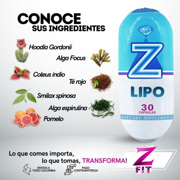 Z-LIPO - Image 15